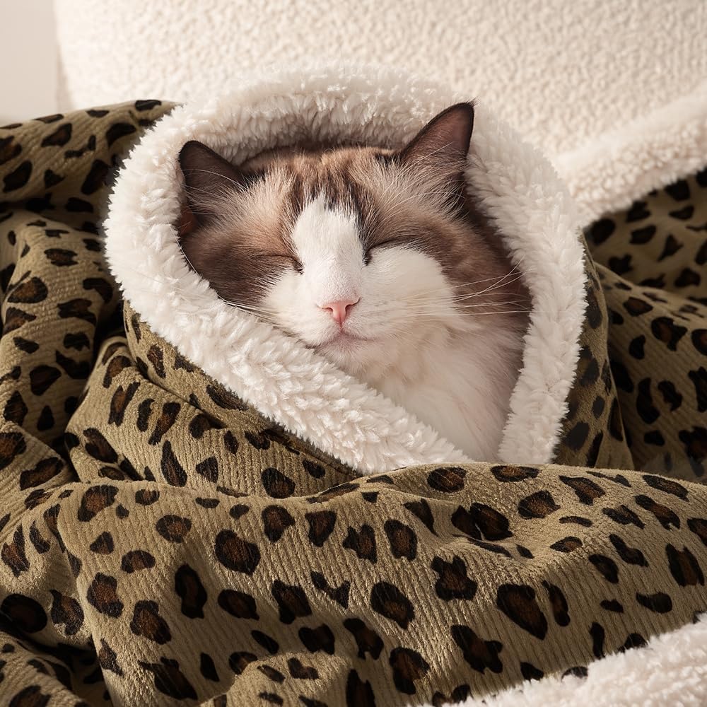 Cat Blankets for Indoor Cats Super Soft Plush Faux Fur Kitten Blankets Machine Washable Reversible Pet Throw Protector for Couch Furniture Leopard Print Blanket 28"X 22" in Brown